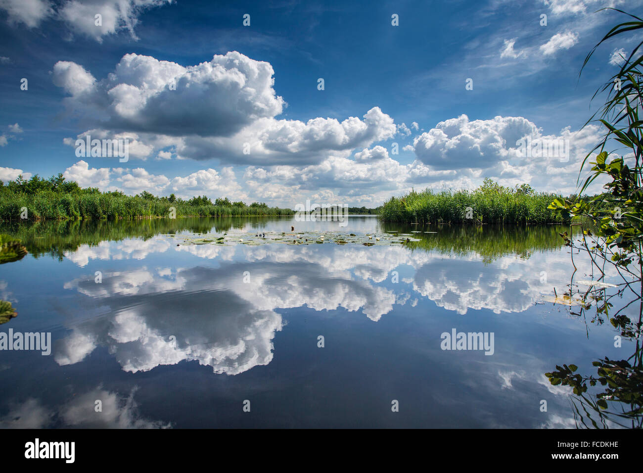 Pays-bas, Ankeveen Ankeveense Plassen, Lacs appelé Banque D'Images