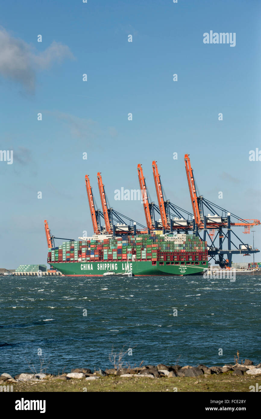 Pays-bas, Rotterdam. Port de Rotterdam. Maasvlakte 2 port. Plus gros porte-conteneurs du monde. Globe CSCL de Hong Kong Banque D'Images