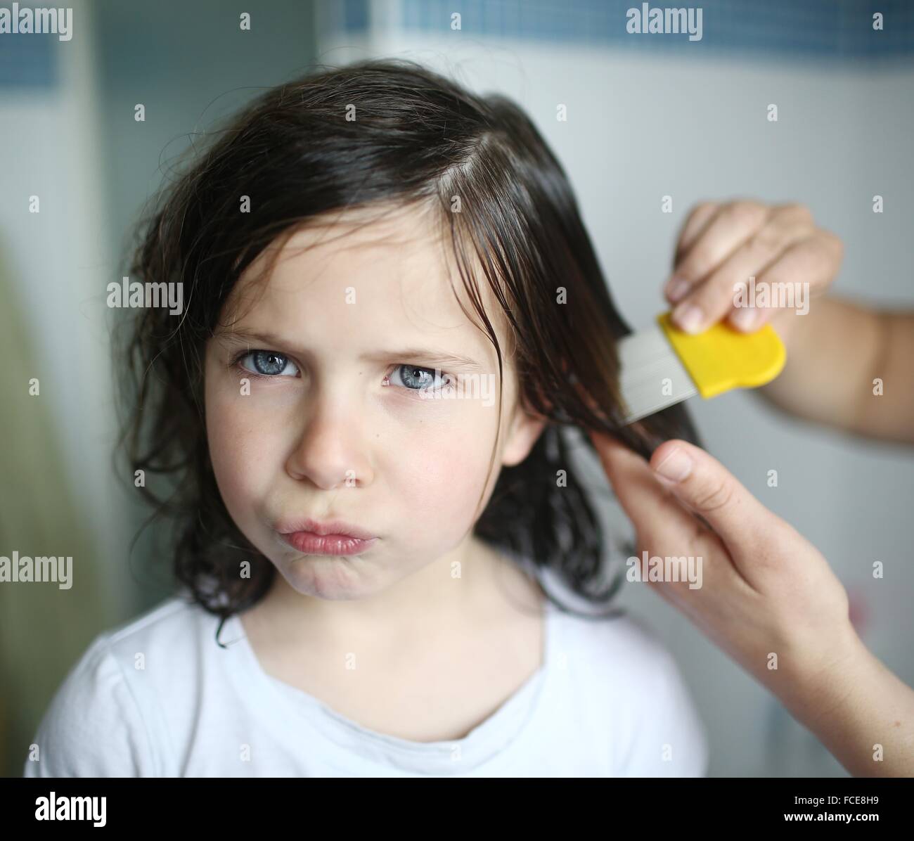 Une mère passe un peigne à poux dans les cheveux de sa fillette de 6 ans Banque D'Images Une mère passe un peigne à poux dans les cheveux de sa fillette de 6 ans Banque D'Images