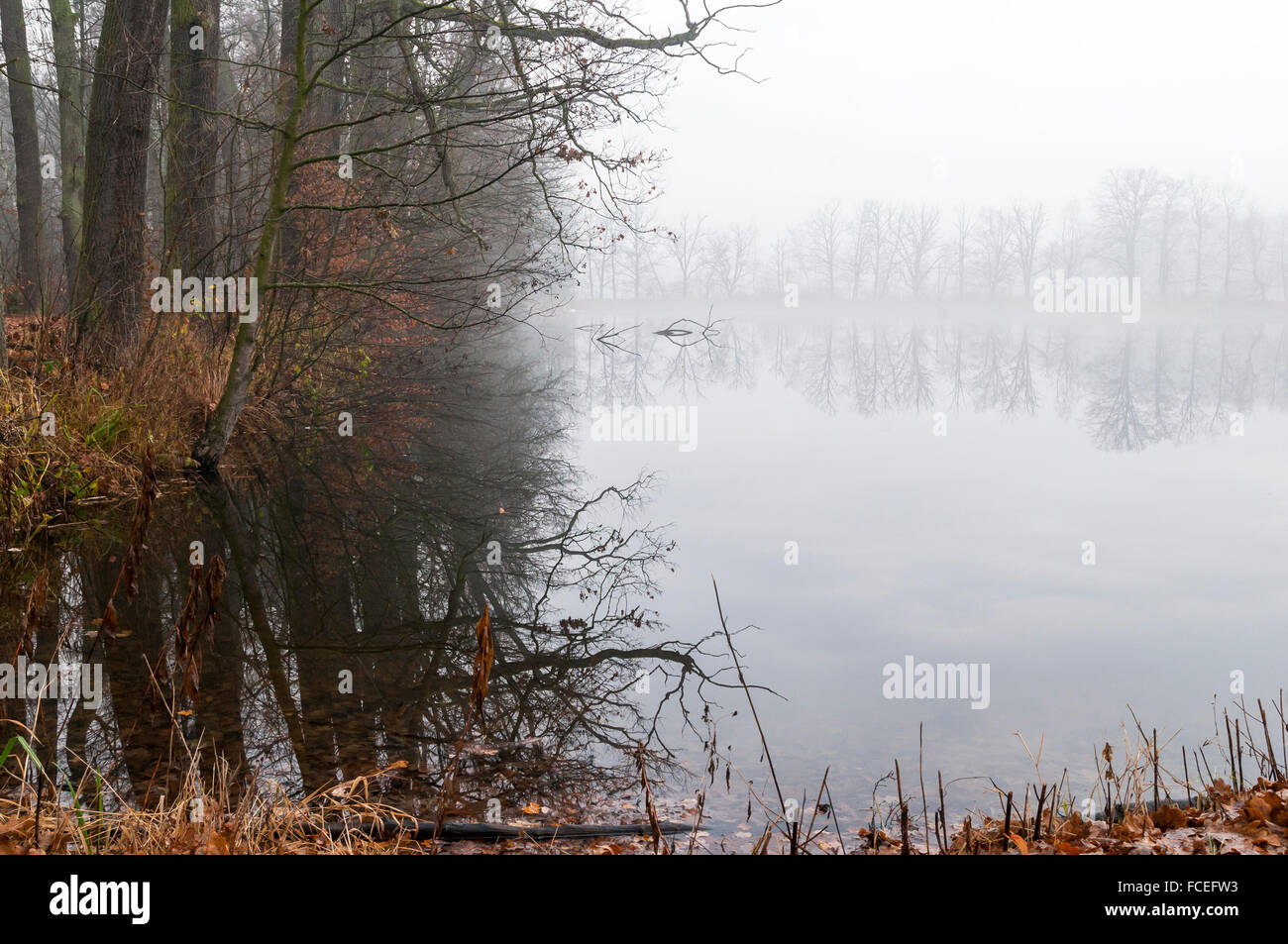 Pokoj, Misty Lake, comté de Namysłów, Voïvodie d'Opole, dans le sud-ouest de la Pologne, de l'Europe Banque D'Images