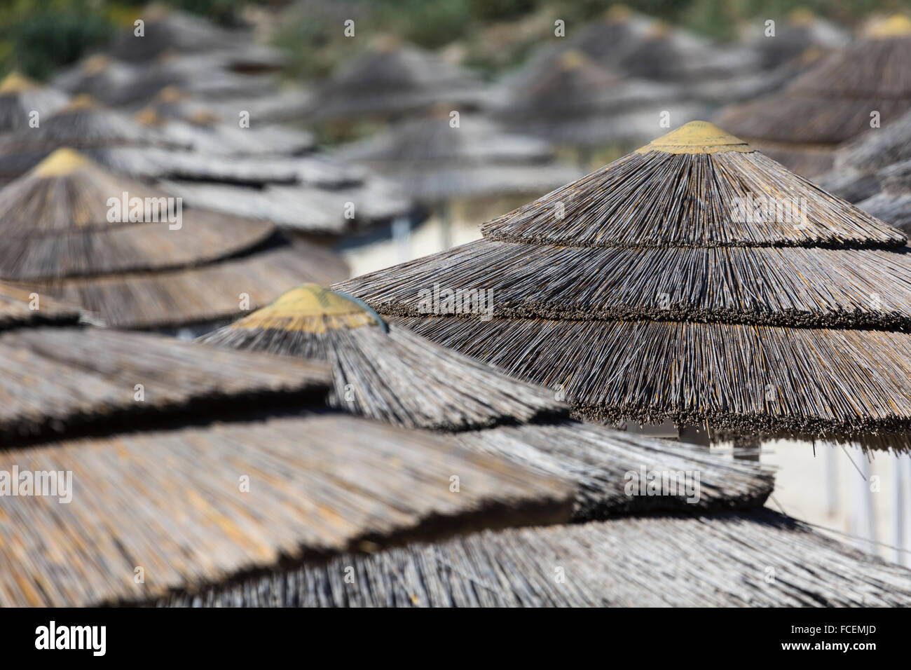 Détail de tissus au-dessus des parasols sur la plage de lignes à Chypre. Banque D'Images