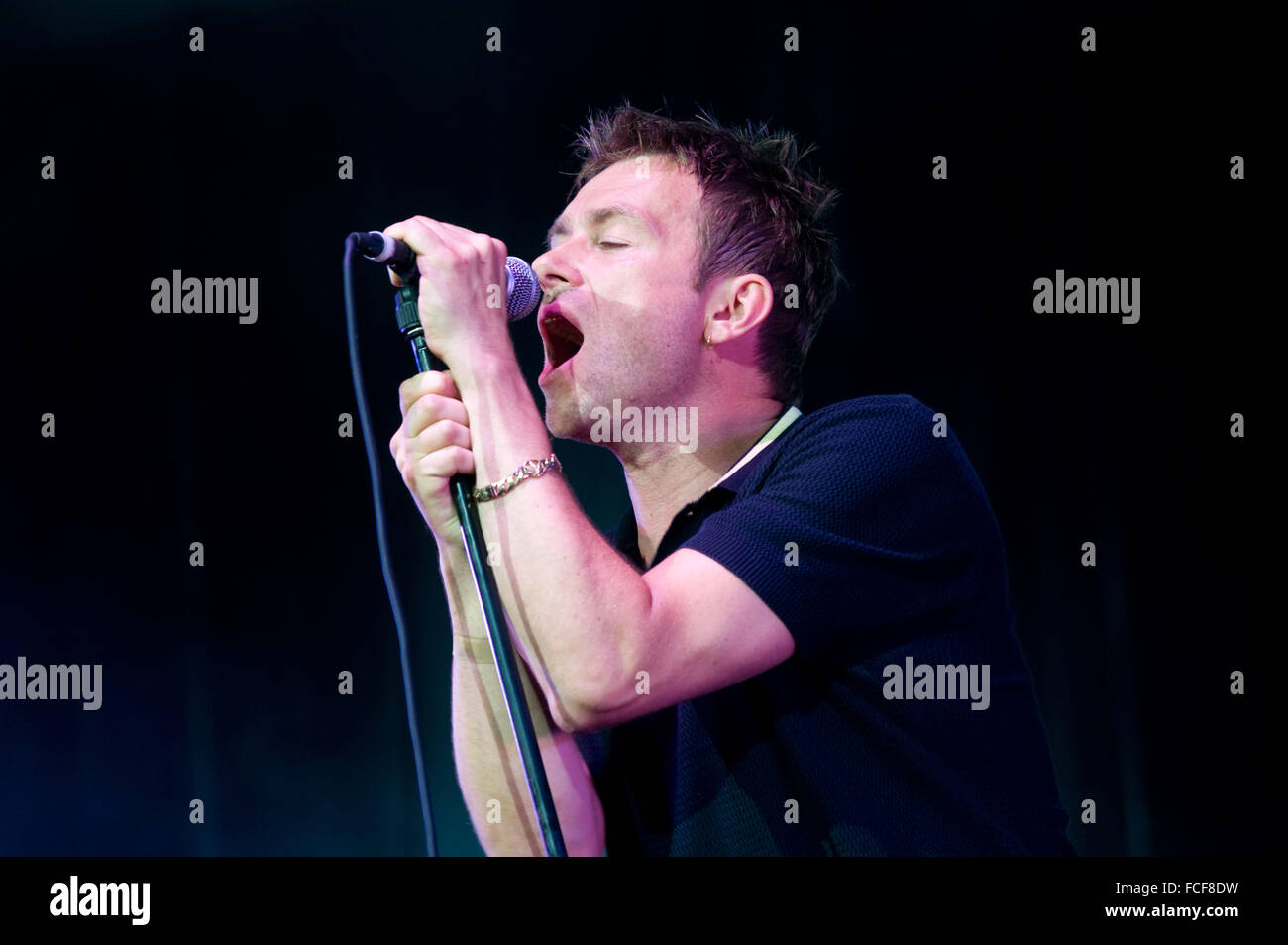 Blur en concert (2009) Banque D'Images