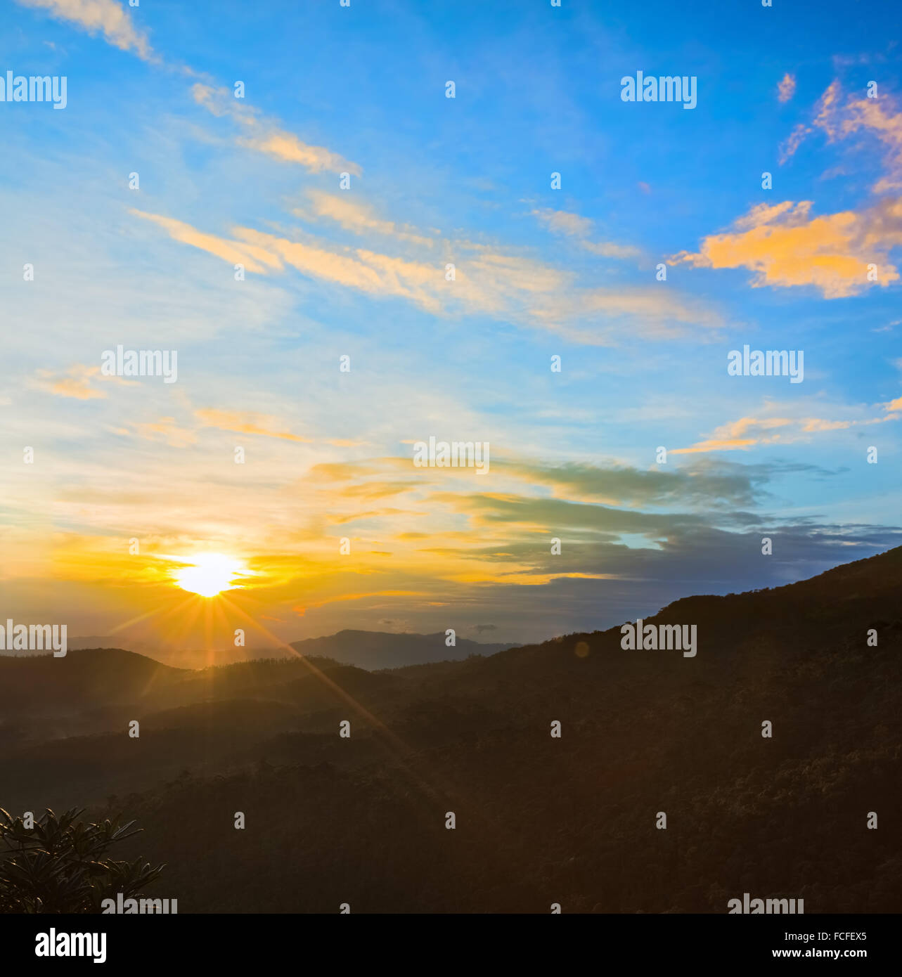 Lever de soleil brumeux à Horton Plains. Banque D'Images