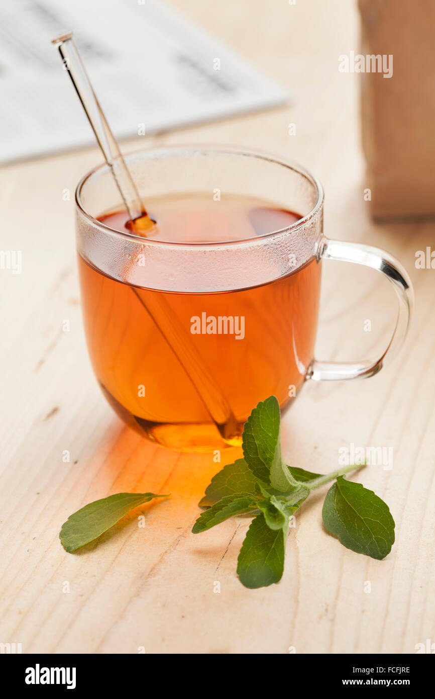 Verre avec du thé et des feuilles de Stevia rebaudiana comme édulcorant Banque D'Images