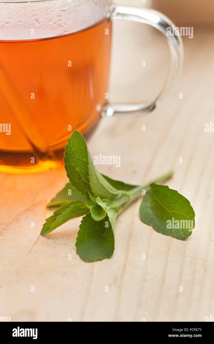Verre avec du thé et des feuilles de Stevia rebaudiana comme édulcorant Banque D'Images
