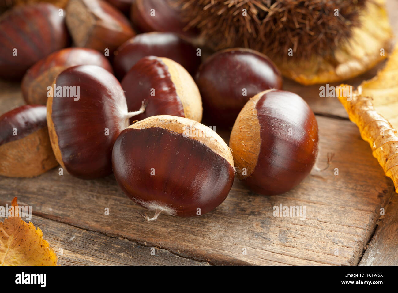 Tas de châtaignes cru entier Banque D'Images