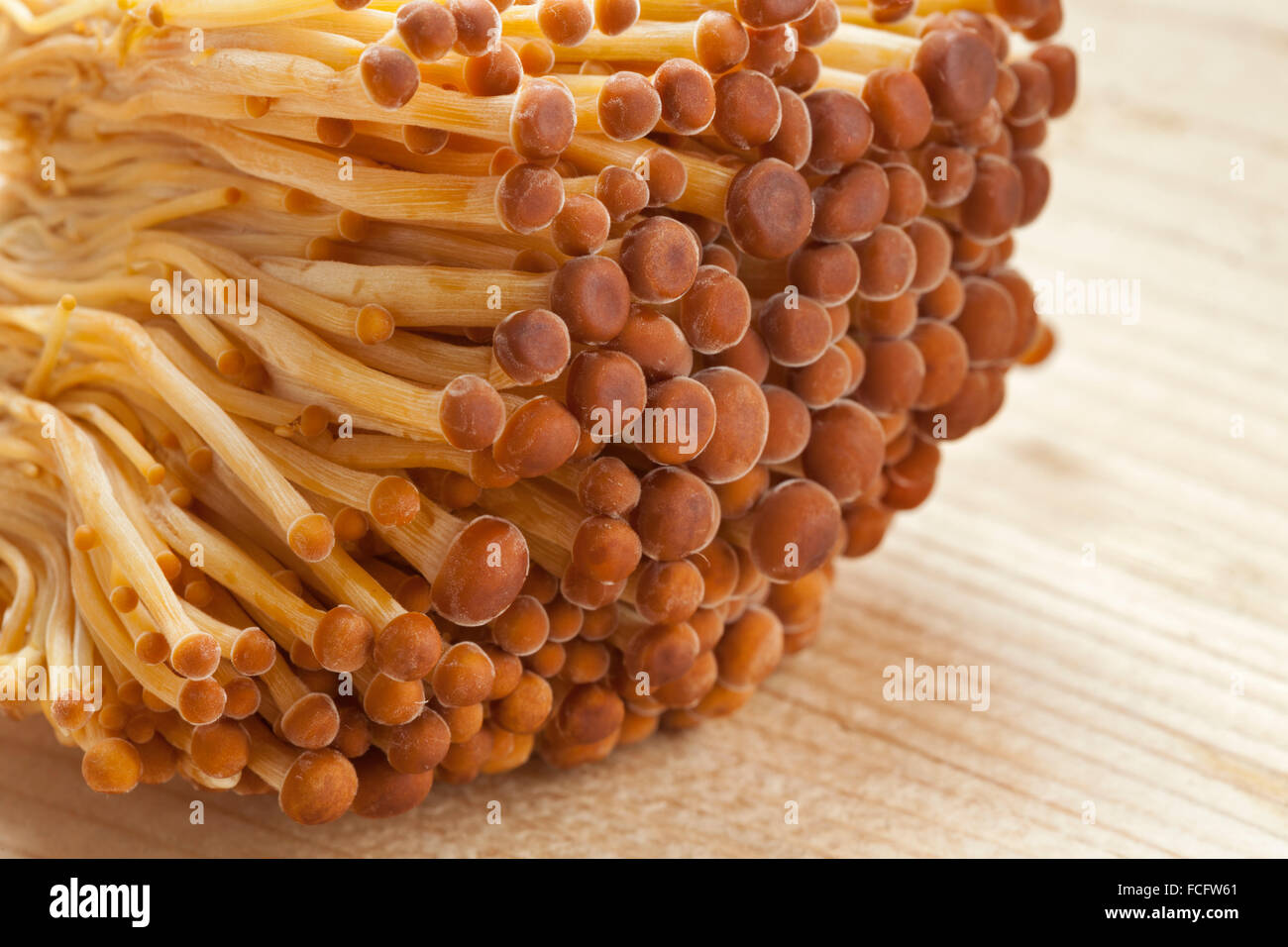 Des tas d'or fraîche les champignons Enoki close up Banque D'Images