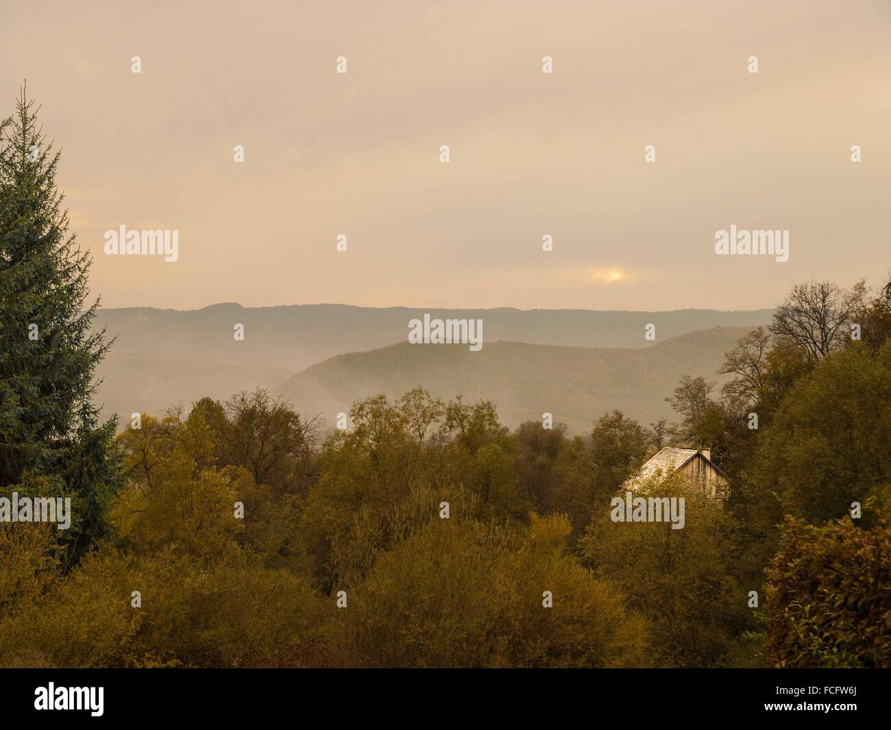 Paysage brumeux de la région de Maramures en Roumanie à l'automne. Banque D'Images