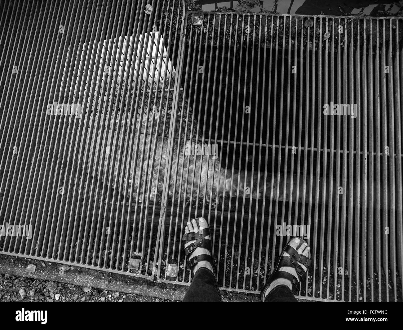 En regardant les pieds dans des sandales en cuir noir debout sur l'eau se précipiter sur la grille. Banque D'Images