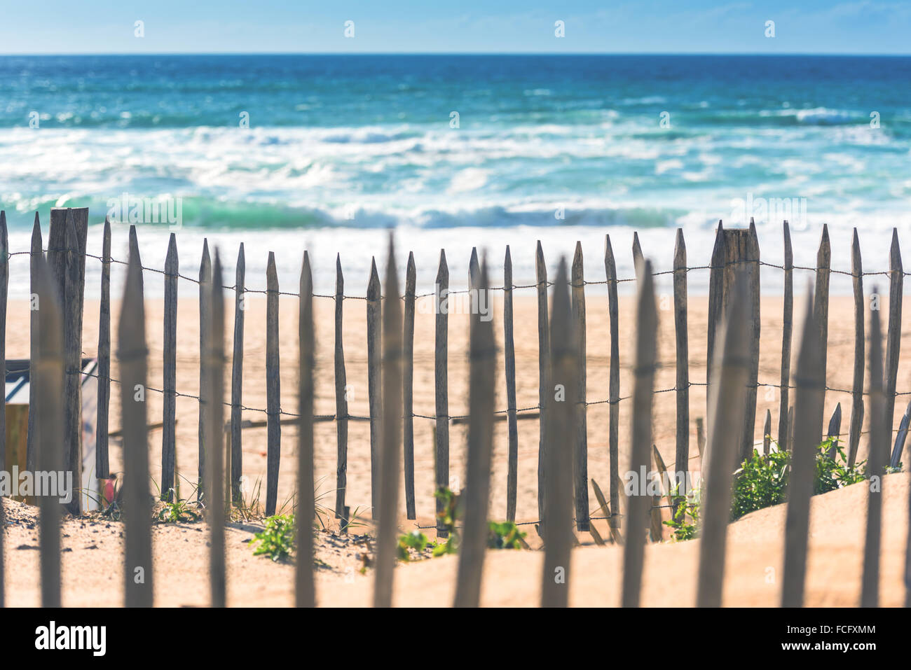 Clôture en bois sur une plage de l'Atlantique en France, le Département de la Gironde. Tourné avec un focus sélectif Banque D'Images