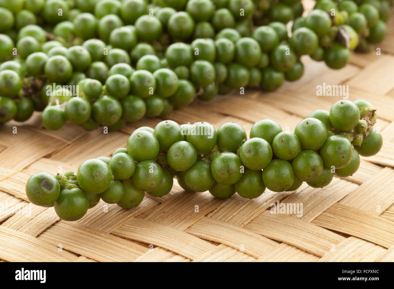 Poivre vert frais fruit non mûr en drupe Banque D'Images