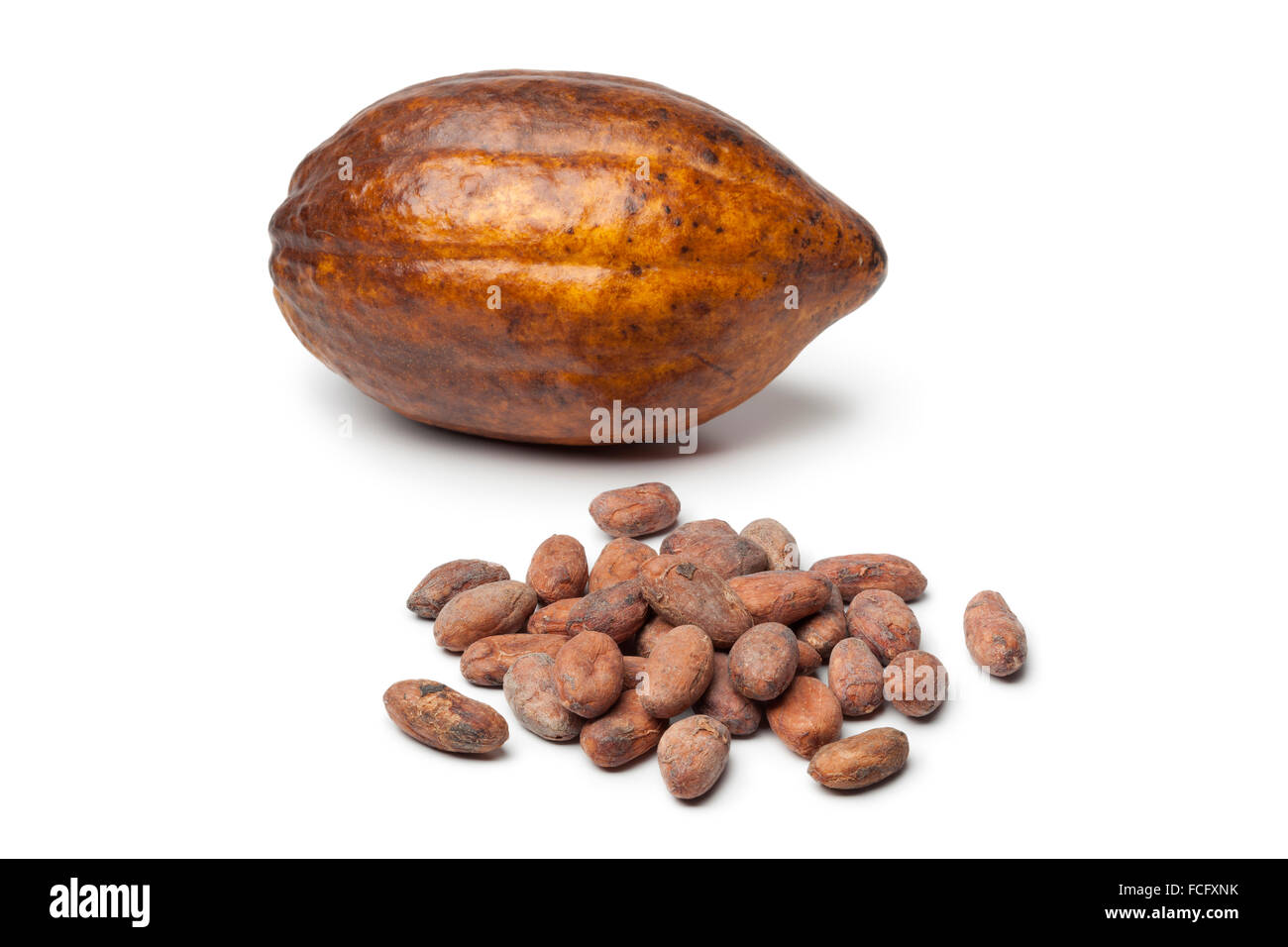Fruits de cacao et cocao haricots sur fond blanc Banque D'Images
