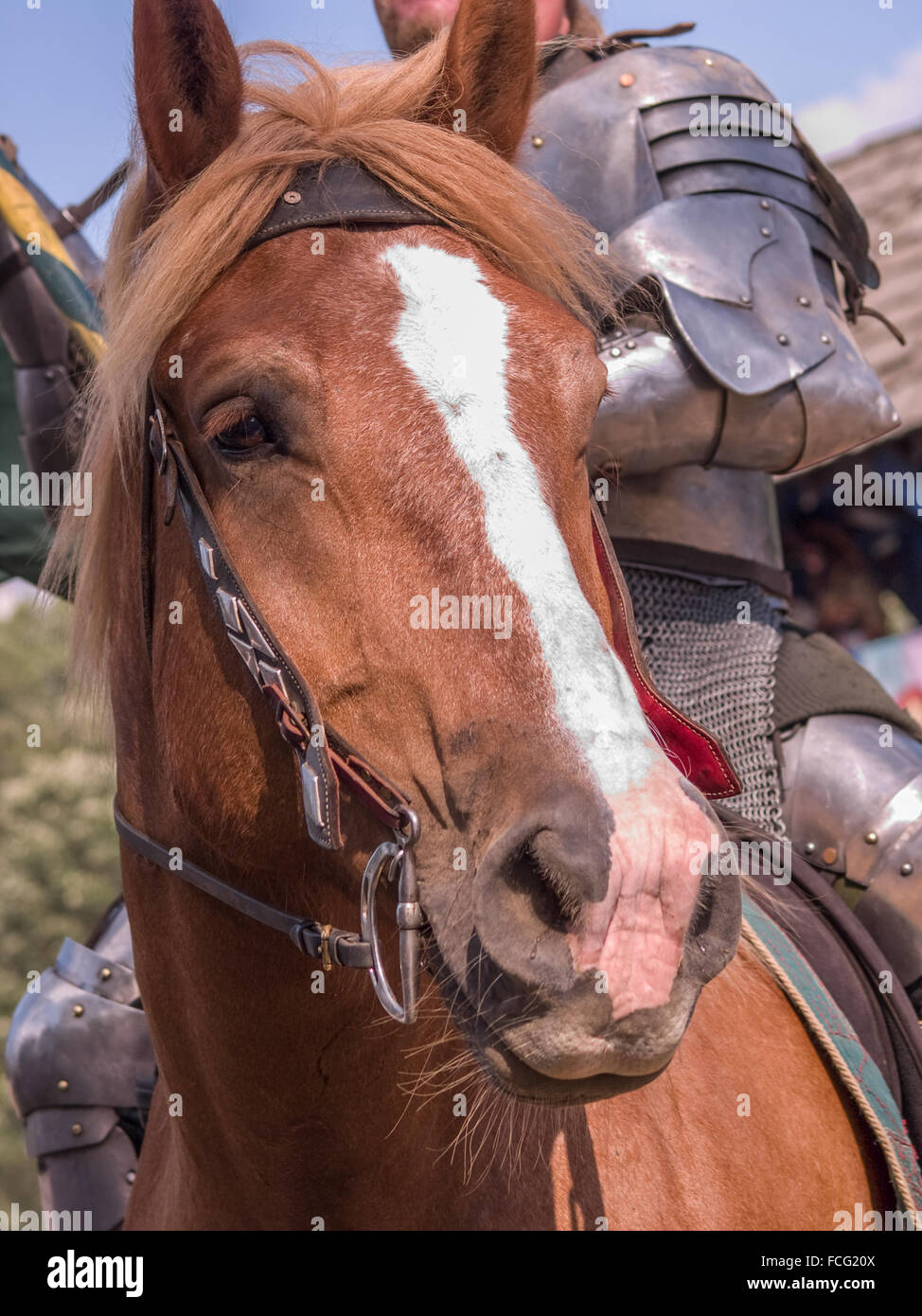 Chevalier en armure et cotte à cheval au Festival Renaissance au Michigan, USA. Banque D'Images