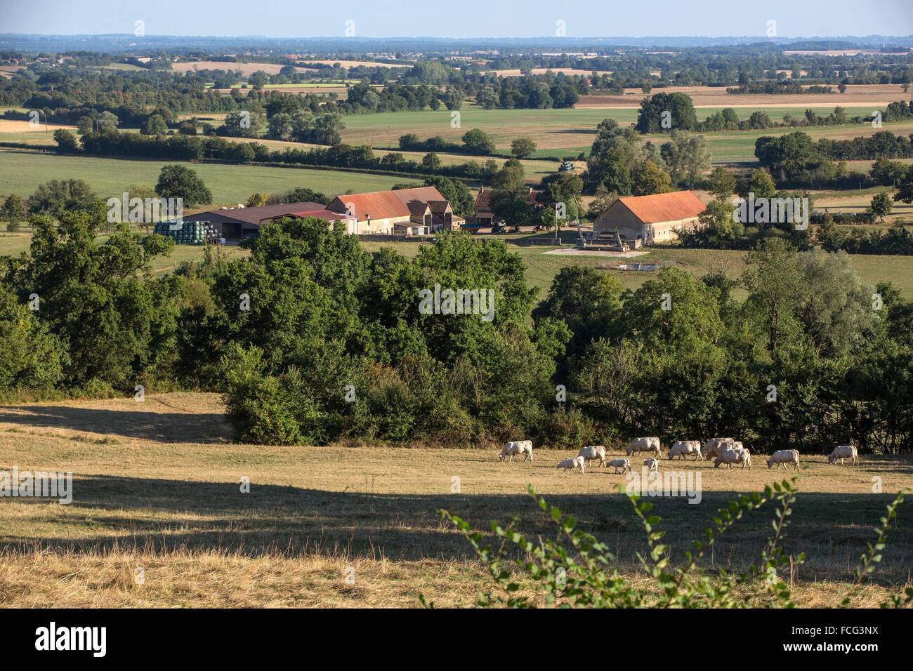 Le Berry, GEORGE SAND, la Vallée Noire Banque D'Images