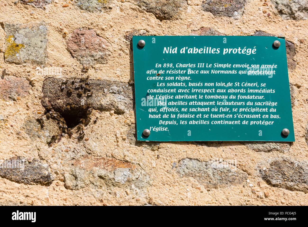 NORMANDIE-MAINE, PARC NATUREL RÉGIONAL DE L'ORNE (61), FRANCE Banque D'Images