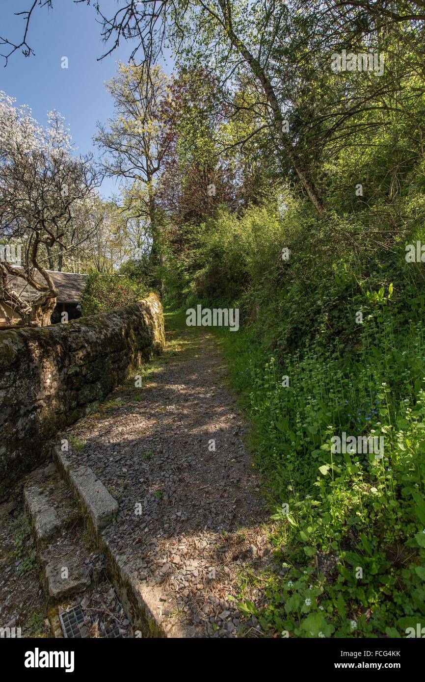 NORMANDIE-MAINE, PARC NATUREL RÉGIONAL DE L'ORNE (61), FRANCE Banque D'Images