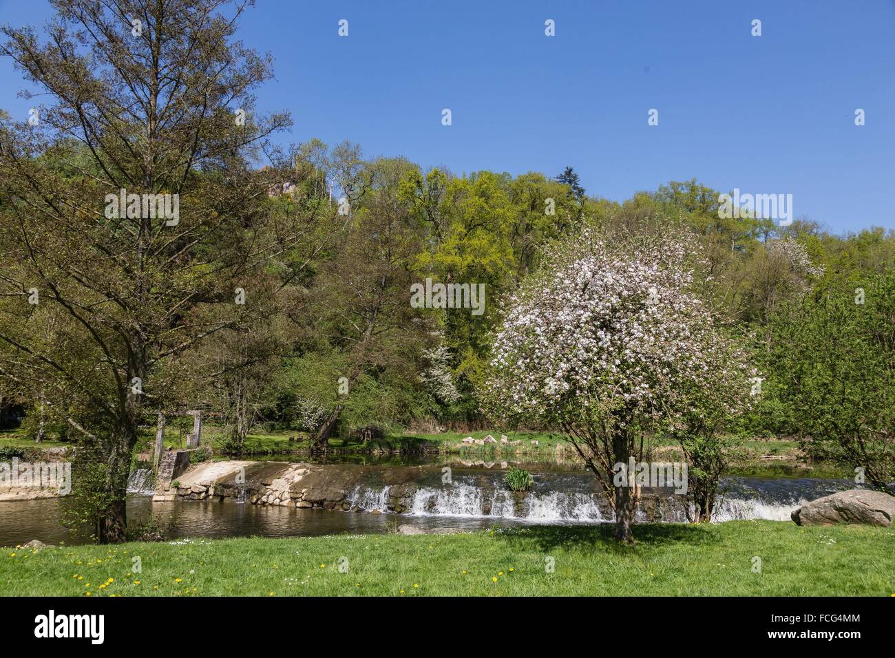 NORMANDIE-MAINE, PARC NATUREL RÉGIONAL DE L'ORNE (61), FRANCE Banque D'Images