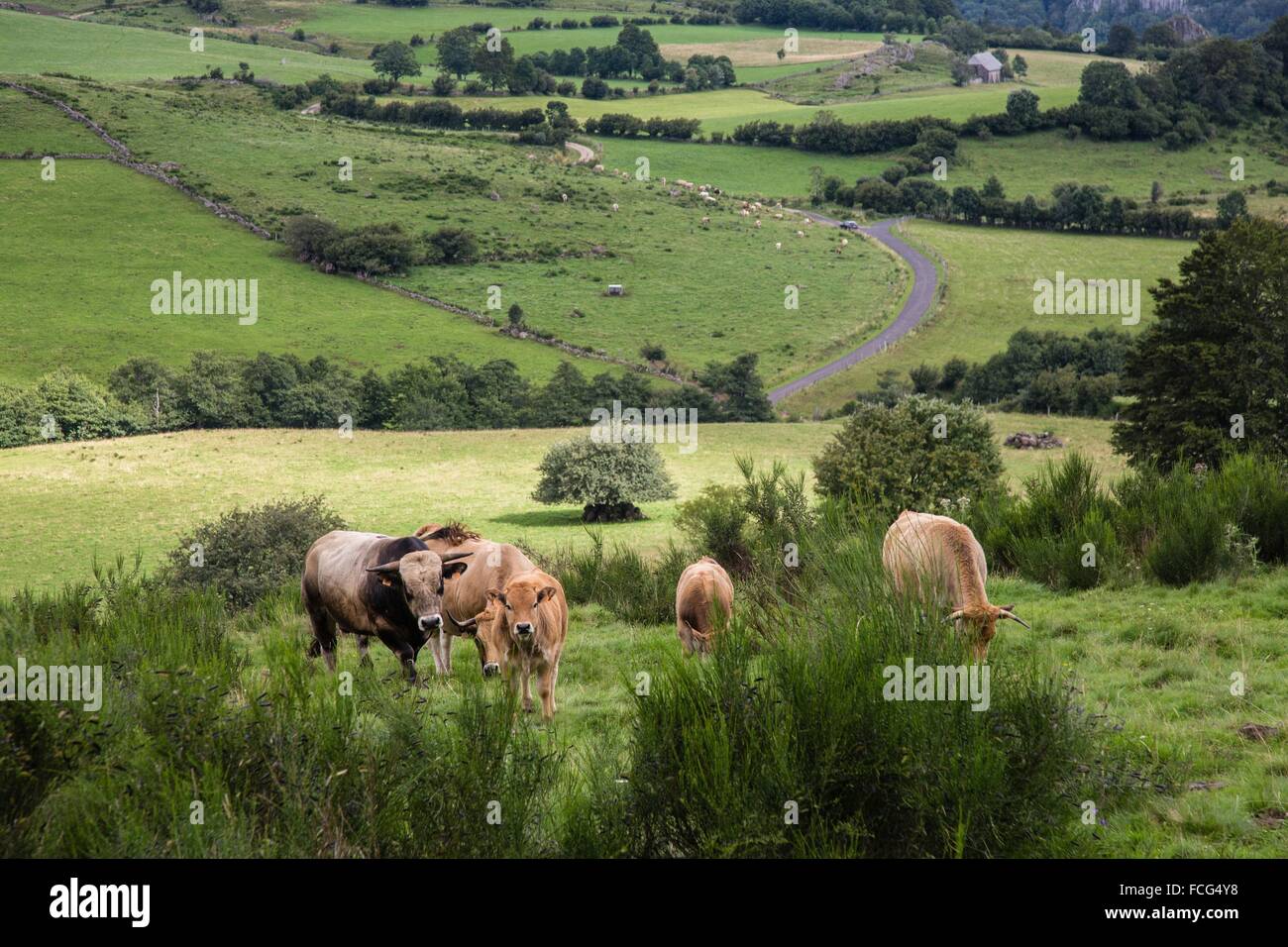 ILLUSTRATION DE L'Aveyron (12), FRANCE Banque D'Images