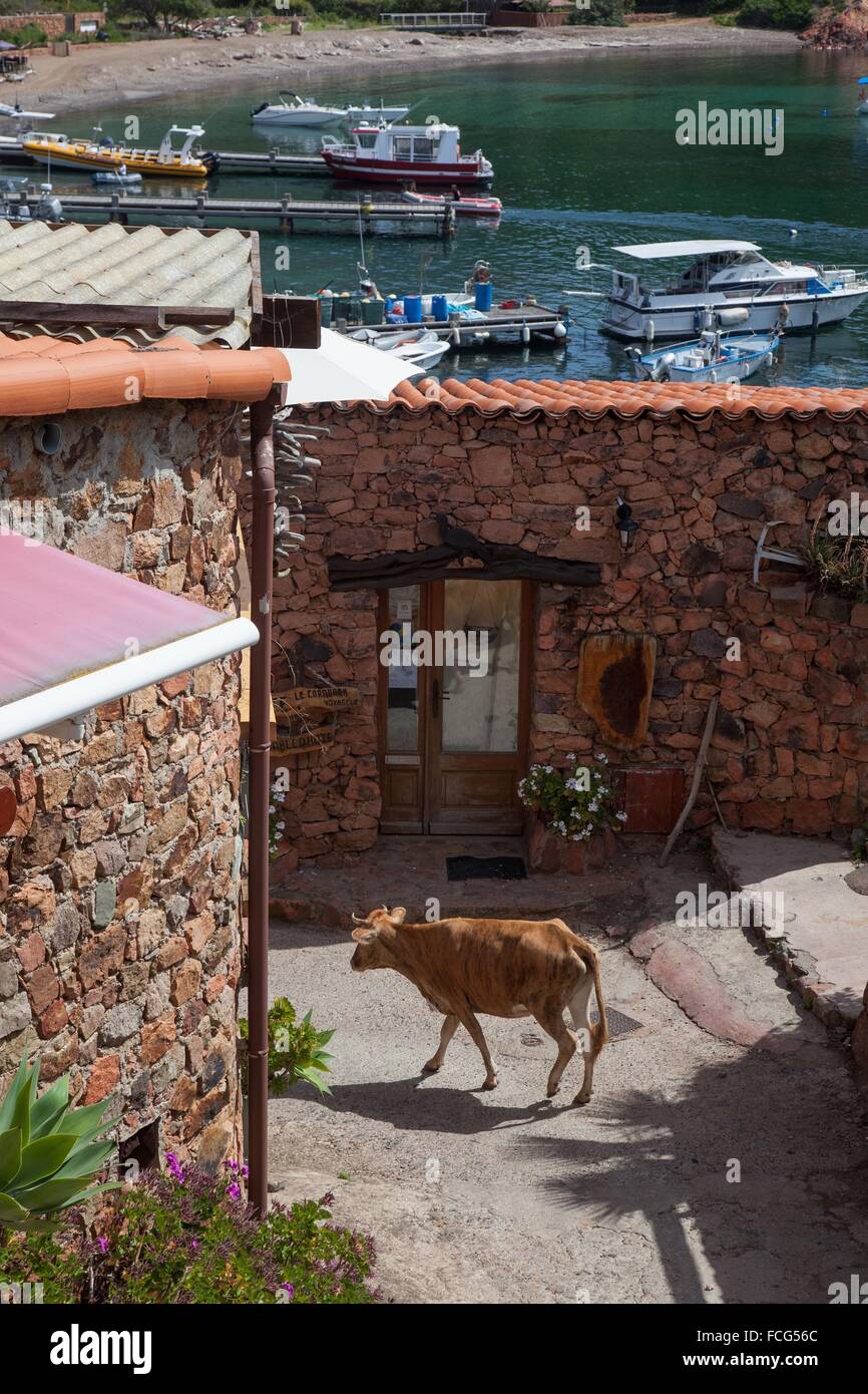 ILLUSTRATION DE Corse-du-Sud (2A), FRANCE Banque D'Images