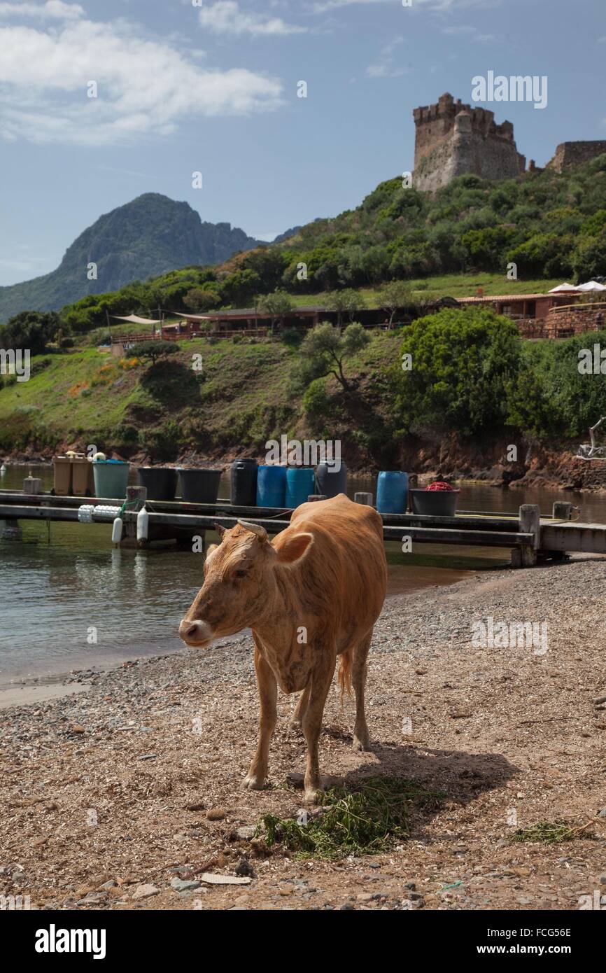 ILLUSTRATION DE Corse-du-Sud (2A), FRANCE Banque D'Images