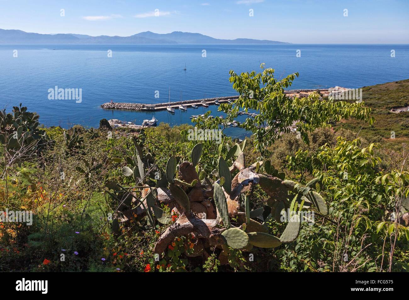 ILLUSTRATION DE Corse-du-Sud (2A), FRANCE Banque D'Images