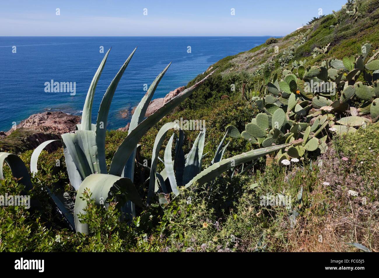 ILLUSTRATION DE Corse-du-Sud (2A), FRANCE Banque D'Images