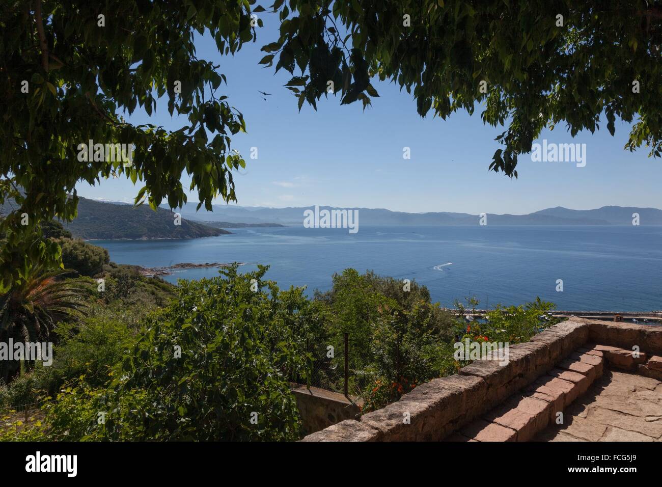 ILLUSTRATION DE Corse-du-Sud (2A), FRANCE Banque D'Images