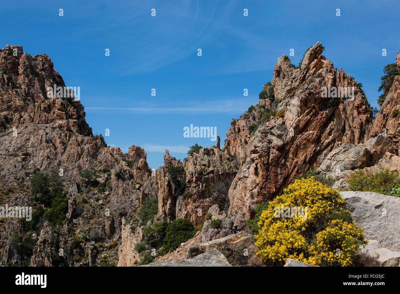 ILLUSTRATION DE Corse-du-Sud (2A), FRANCE Banque D'Images