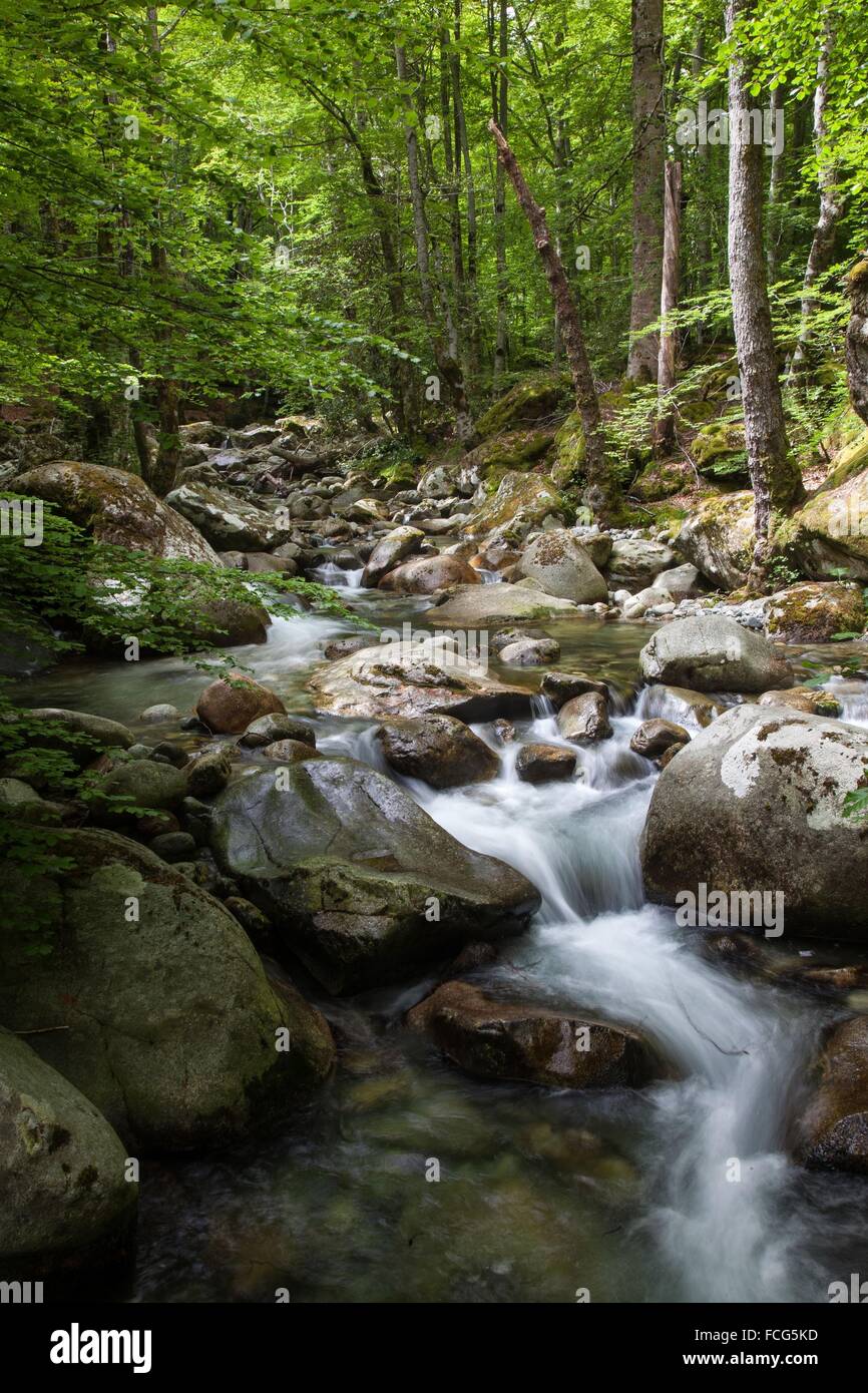 ILLUSTRATION DE Corse-du-Sud (2A), FRANCE Banque D'Images