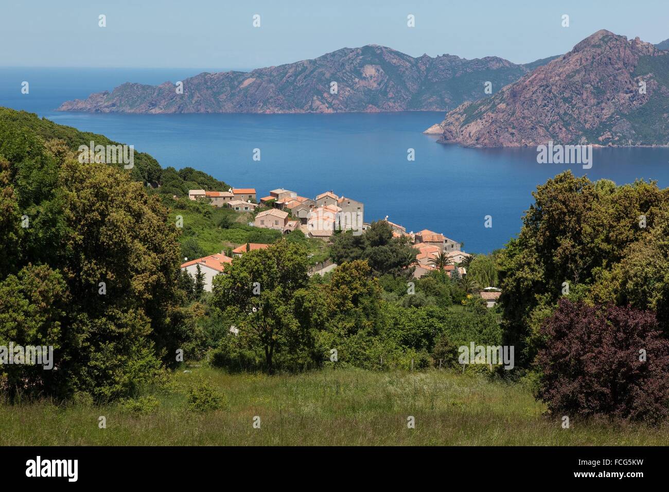 ILLUSTRATION DE Corse-du-Sud (2A), FRANCE Banque D'Images