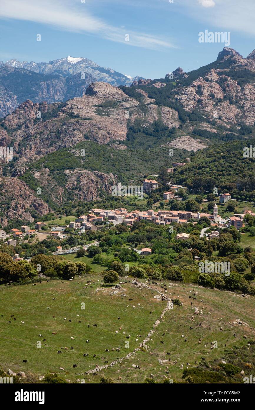 ILLUSTRATION DE Corse-du-Sud (2A), FRANCE Banque D'Images