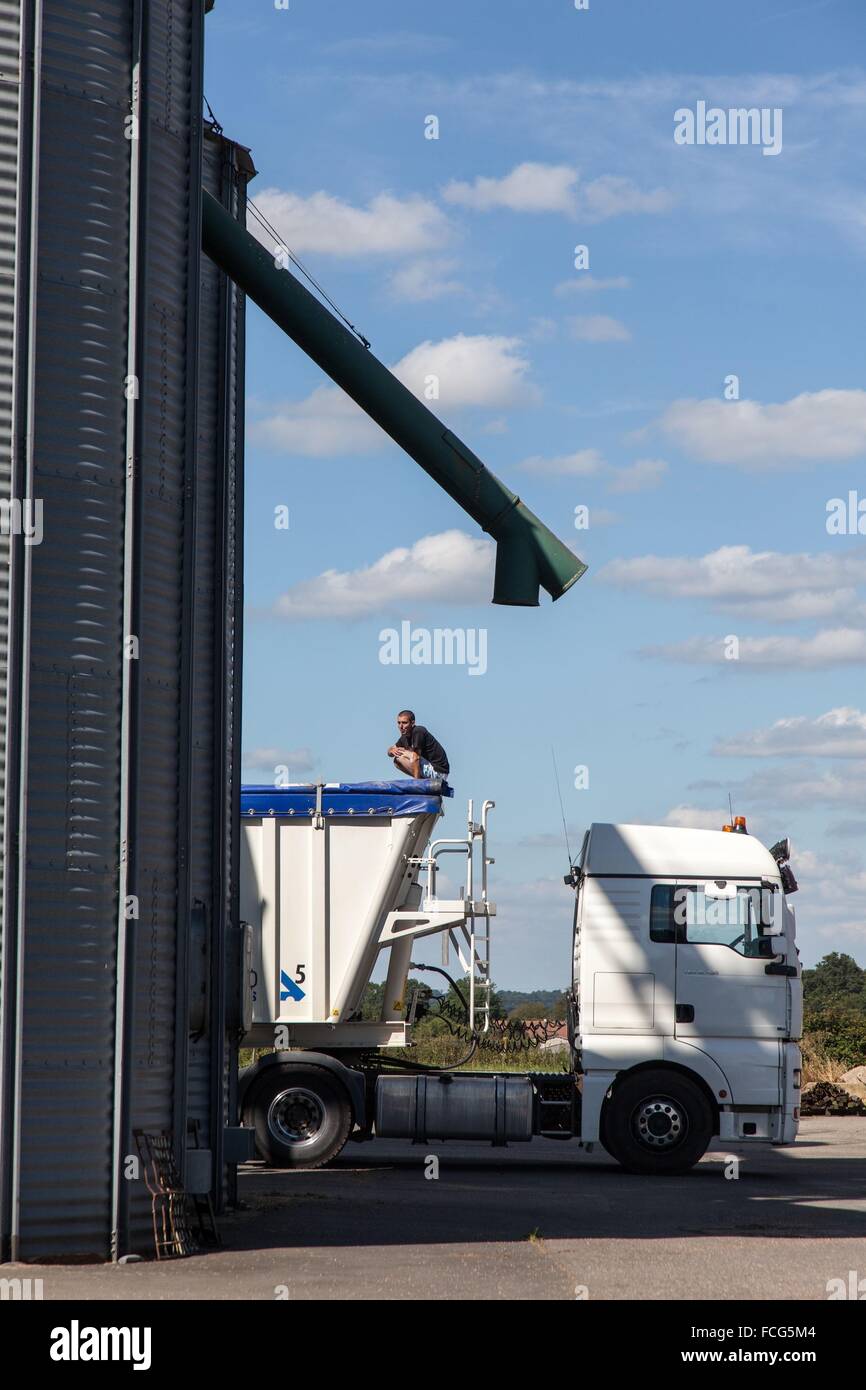 Coopérative des céréales de l'essai, ORNE (61), FRANCE Banque D'Images