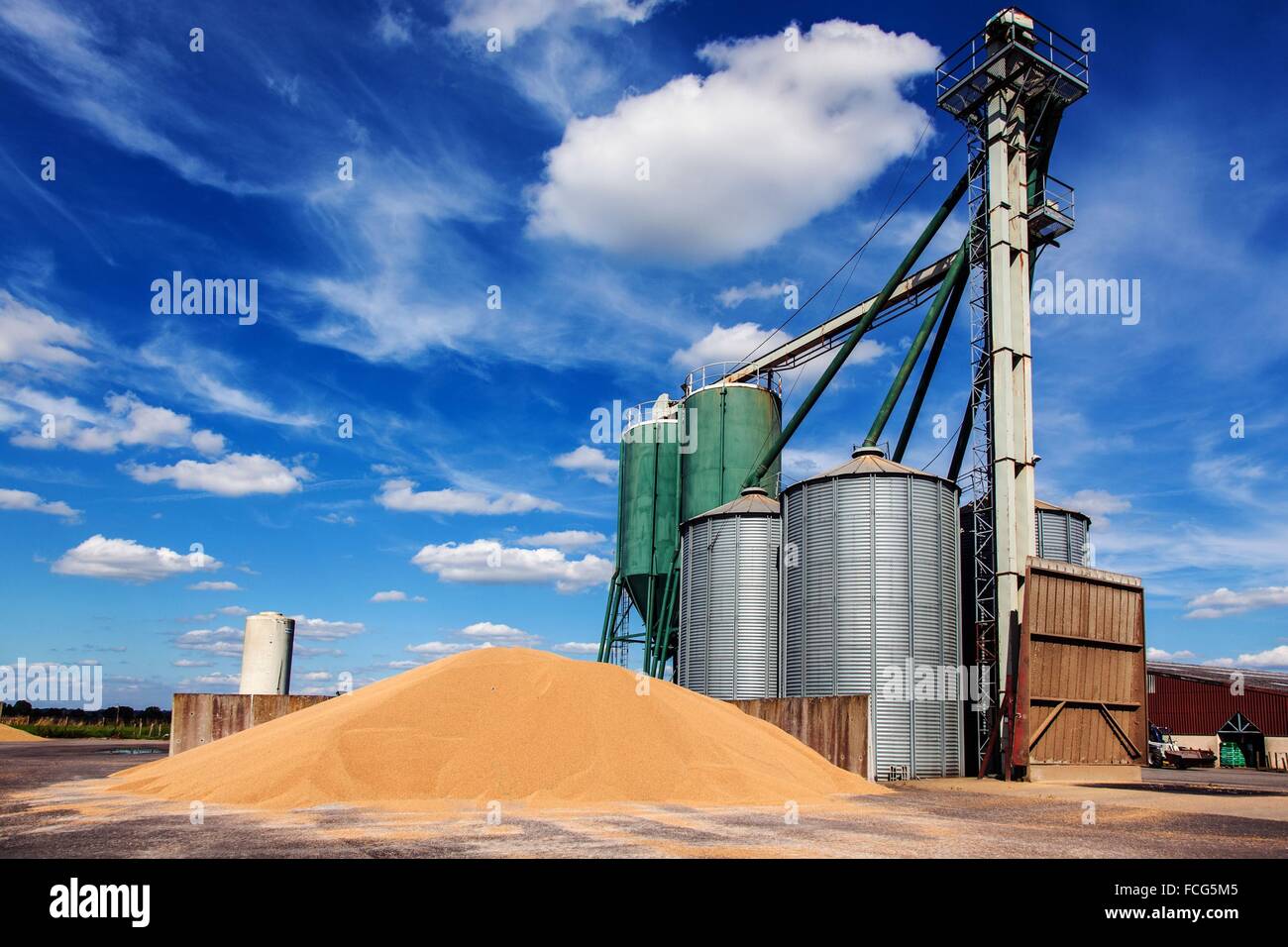 Coopérative des céréales de l'essai, ORNE (61), FRANCE Banque D'Images