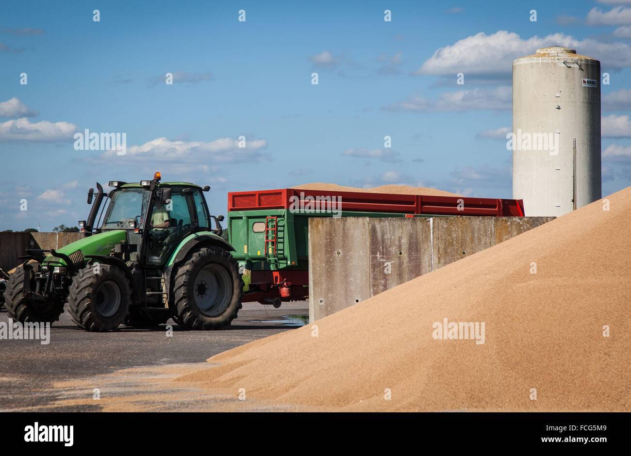 Coopérative des céréales de l'essai, ORNE (61), FRANCE Banque D'Images