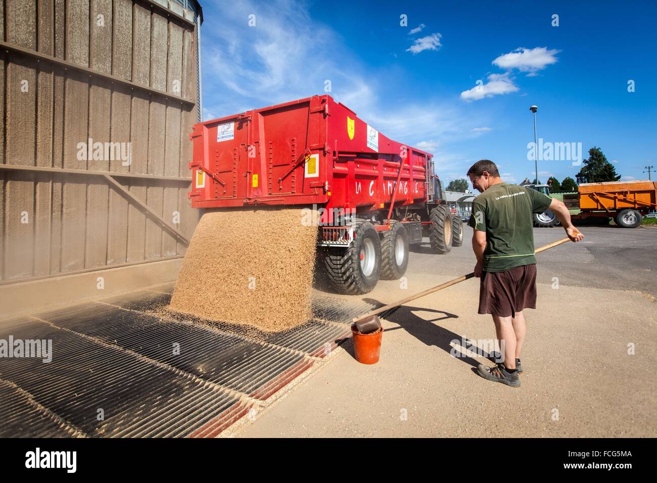 Coopérative des céréales de l'essai, ORNE (61), FRANCE Banque D'Images