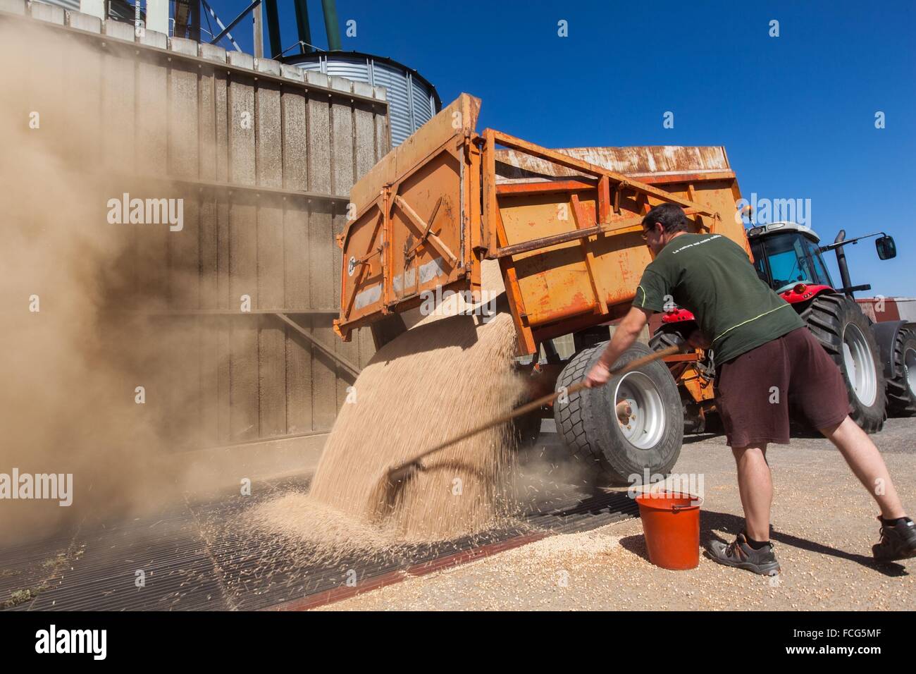 Coopérative des céréales de l'essai, ORNE (61), FRANCE Banque D'Images