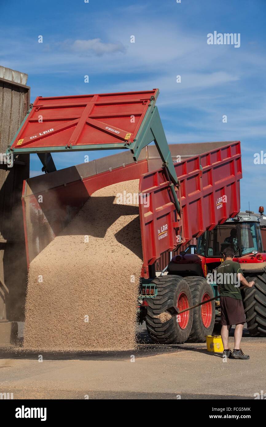 Coopérative des céréales de l'essai, ORNE (61), FRANCE Banque D'Images