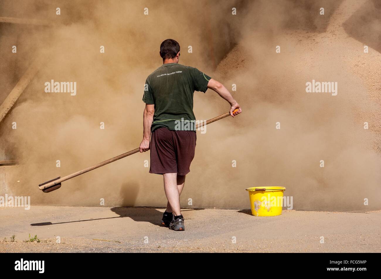 Coopérative des céréales de l'essai, ORNE (61), FRANCE Banque D'Images