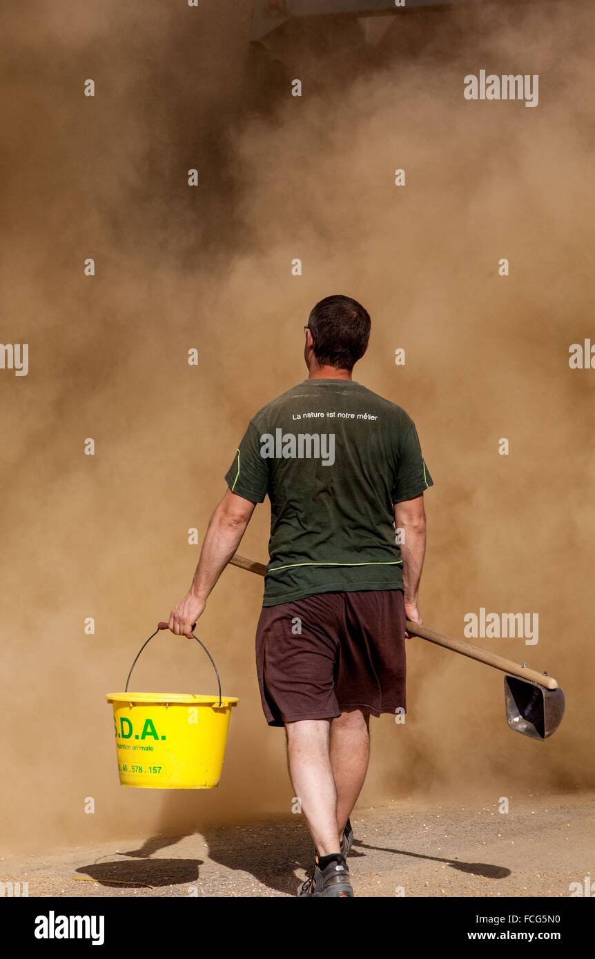Coopérative des céréales de l'essai, ORNE (61), FRANCE Banque D'Images
