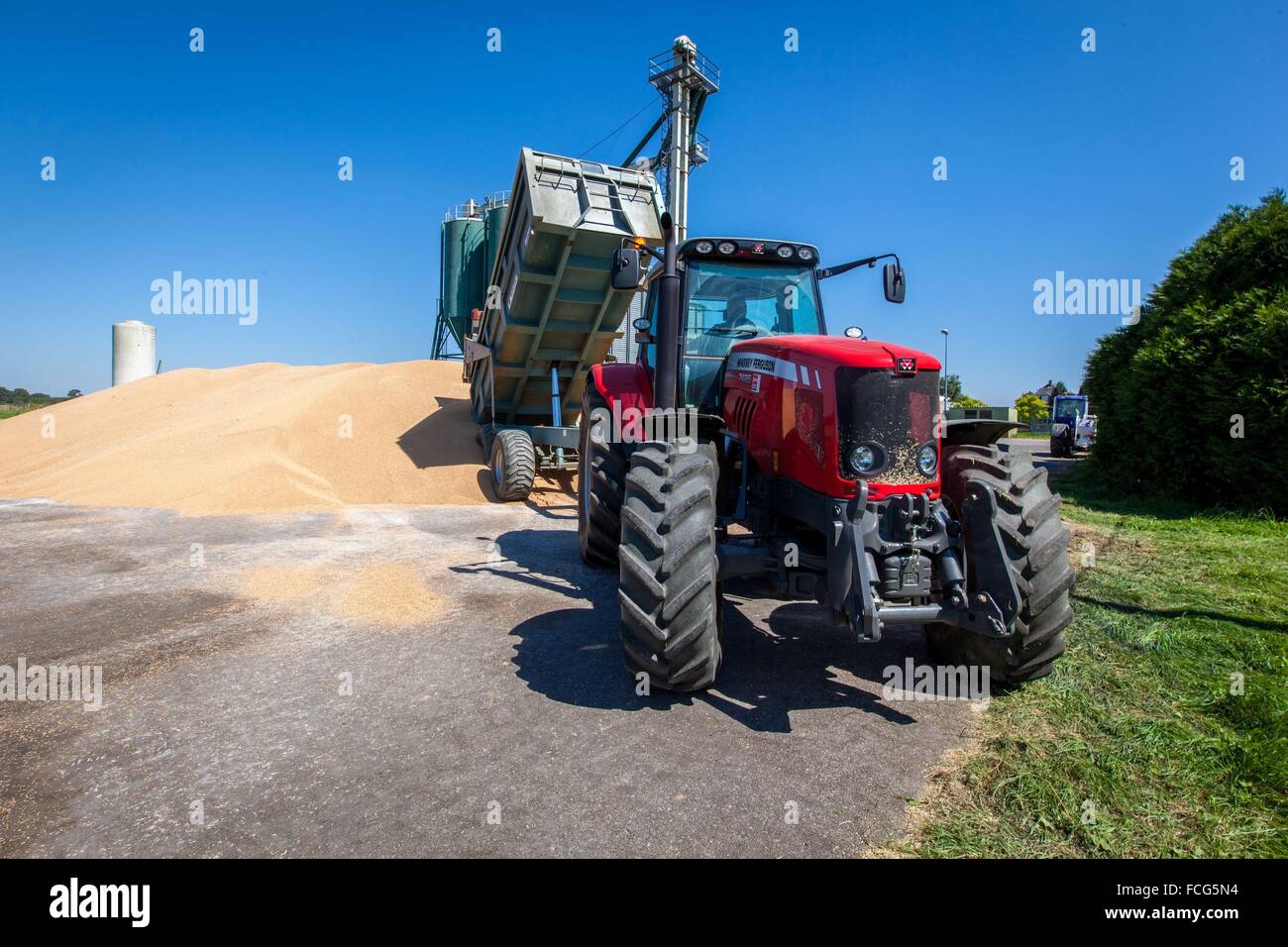 Coopérative des céréales de l'essai, ORNE (61), FRANCE Banque D'Images