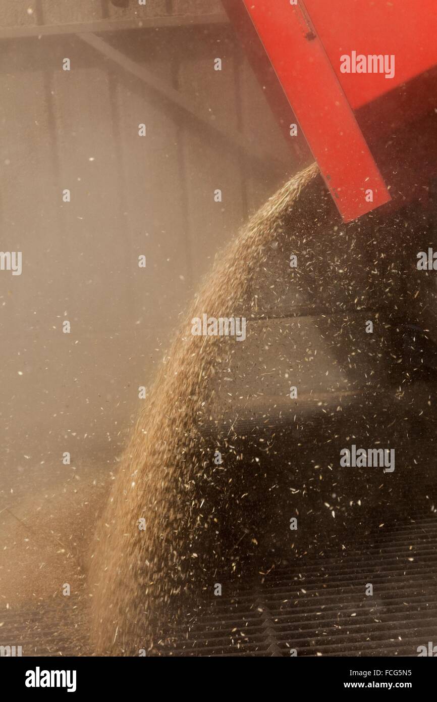 Coopérative des céréales de l'essai, ORNE (61), FRANCE Banque D'Images