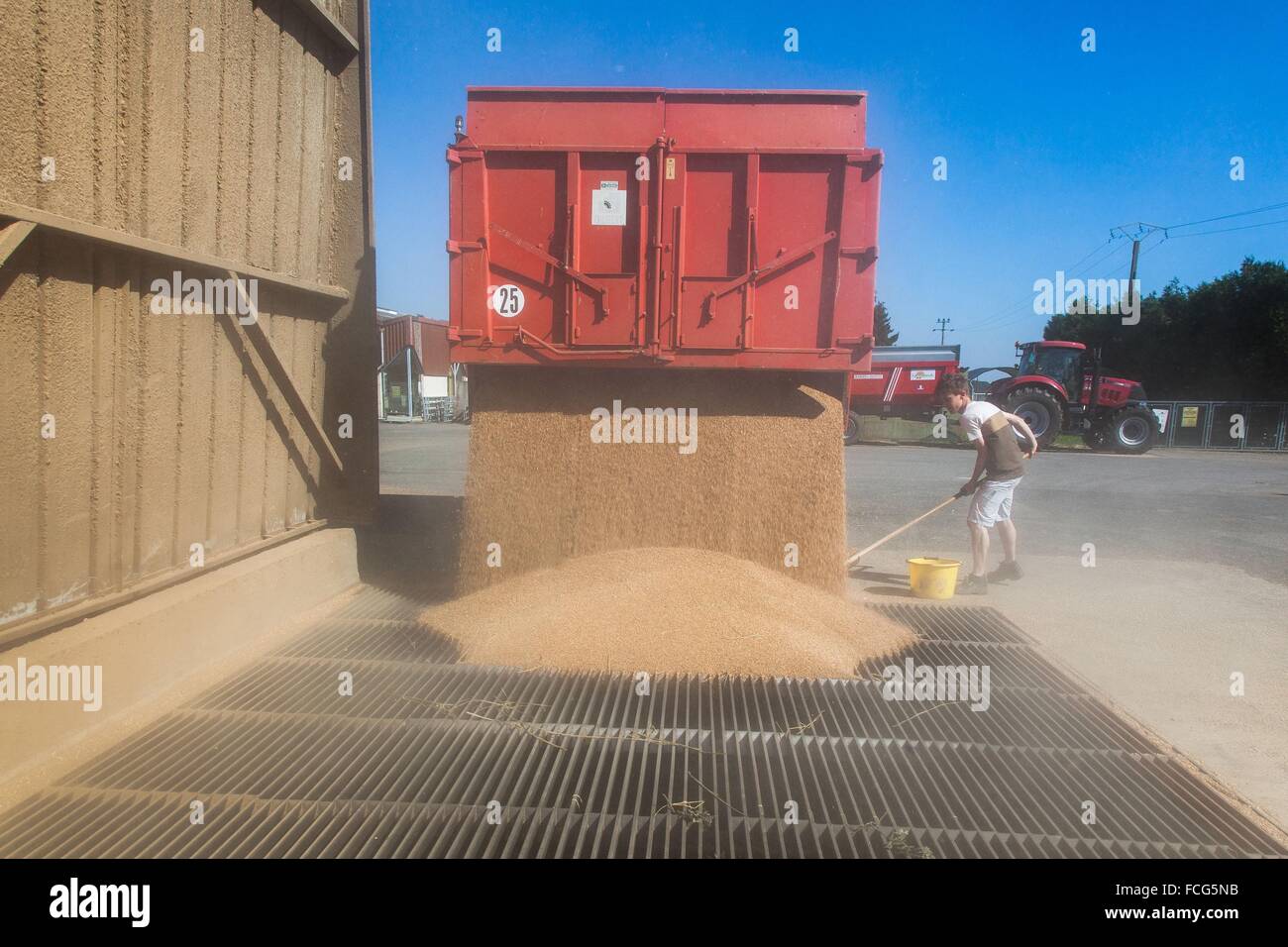 Coopérative des céréales de l'essai, ORNE (61), FRANCE Banque D'Images
