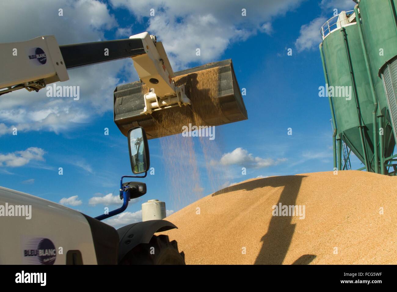 Coopérative des céréales de l'essai, ORNE (61), FRANCE Banque D'Images