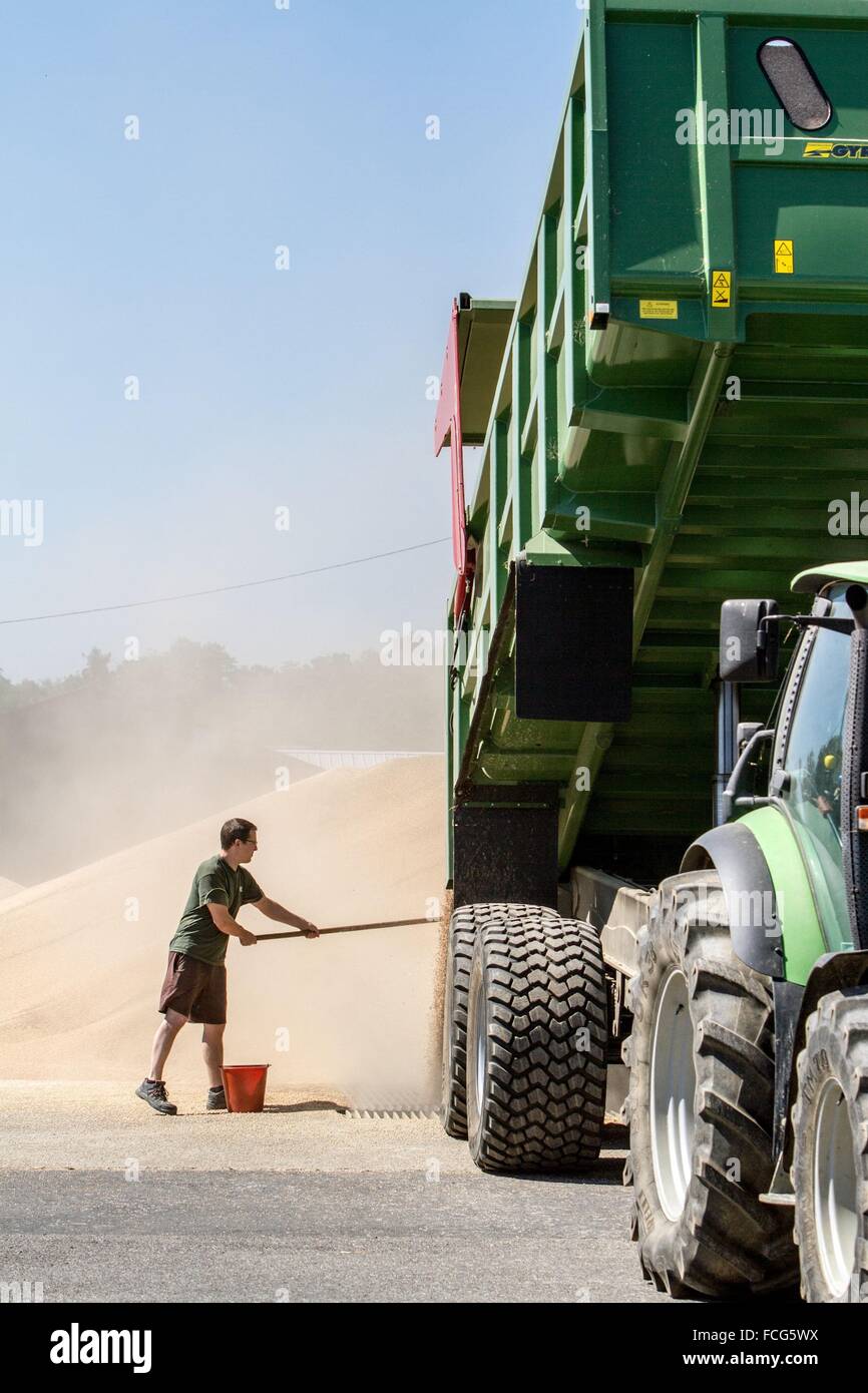 Coopérative des céréales de l'essai, ORNE (61), FRANCE Banque D'Images