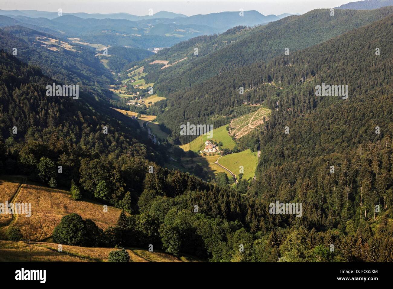 Parc Naturel Régional des Ballons des Vosges, (68) HAUT-Rhin, Alsace BAS-Rhin, Alsace, France Banque D'Images