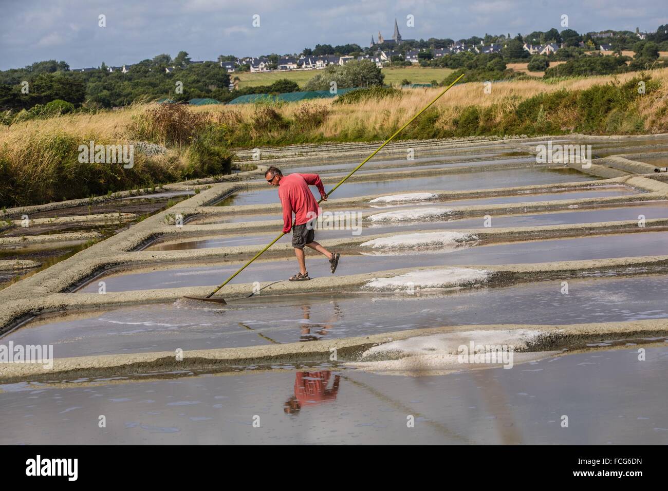 Marais salants de Guerande, LOIRE ATLANTIQUE (44), région de la Loire, France Banque D'Images
