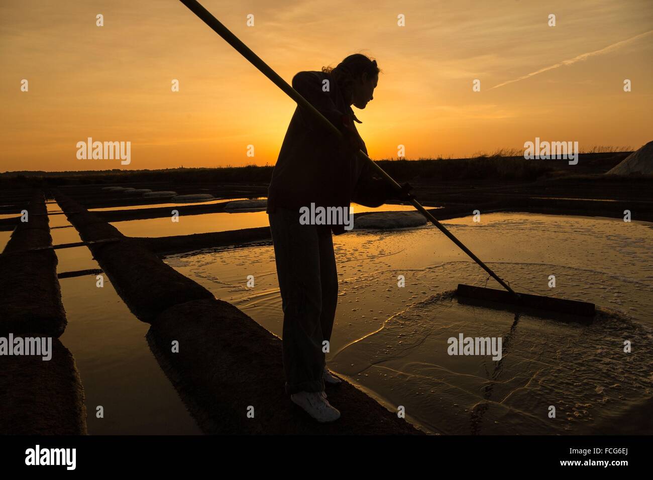Marais salants de Guerande, LOIRE ATLANTIQUE (44), région de la Loire, France Banque D'Images