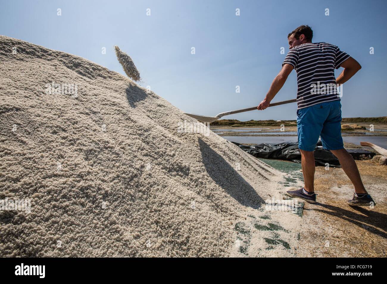 Marais salants de Guerande, LOIRE ATLANTIQUE (44), région de la Loire, France Banque D'Images