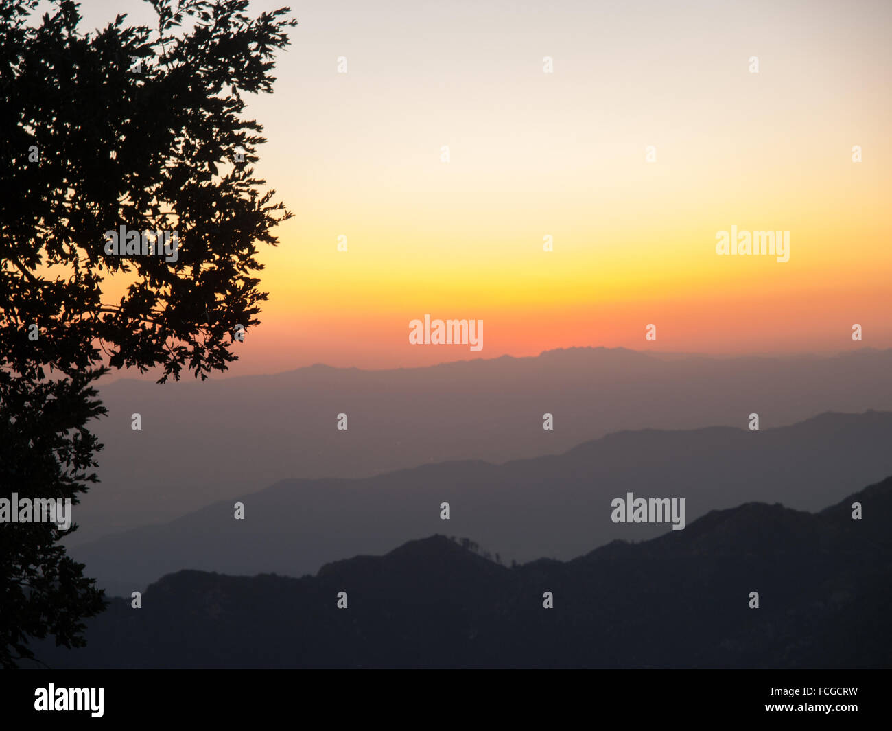 Rose, jaune, lavande, orange coucher de soleil sur les montagnes et la silhouette des arbres en Californie, USA. Banque D'Images