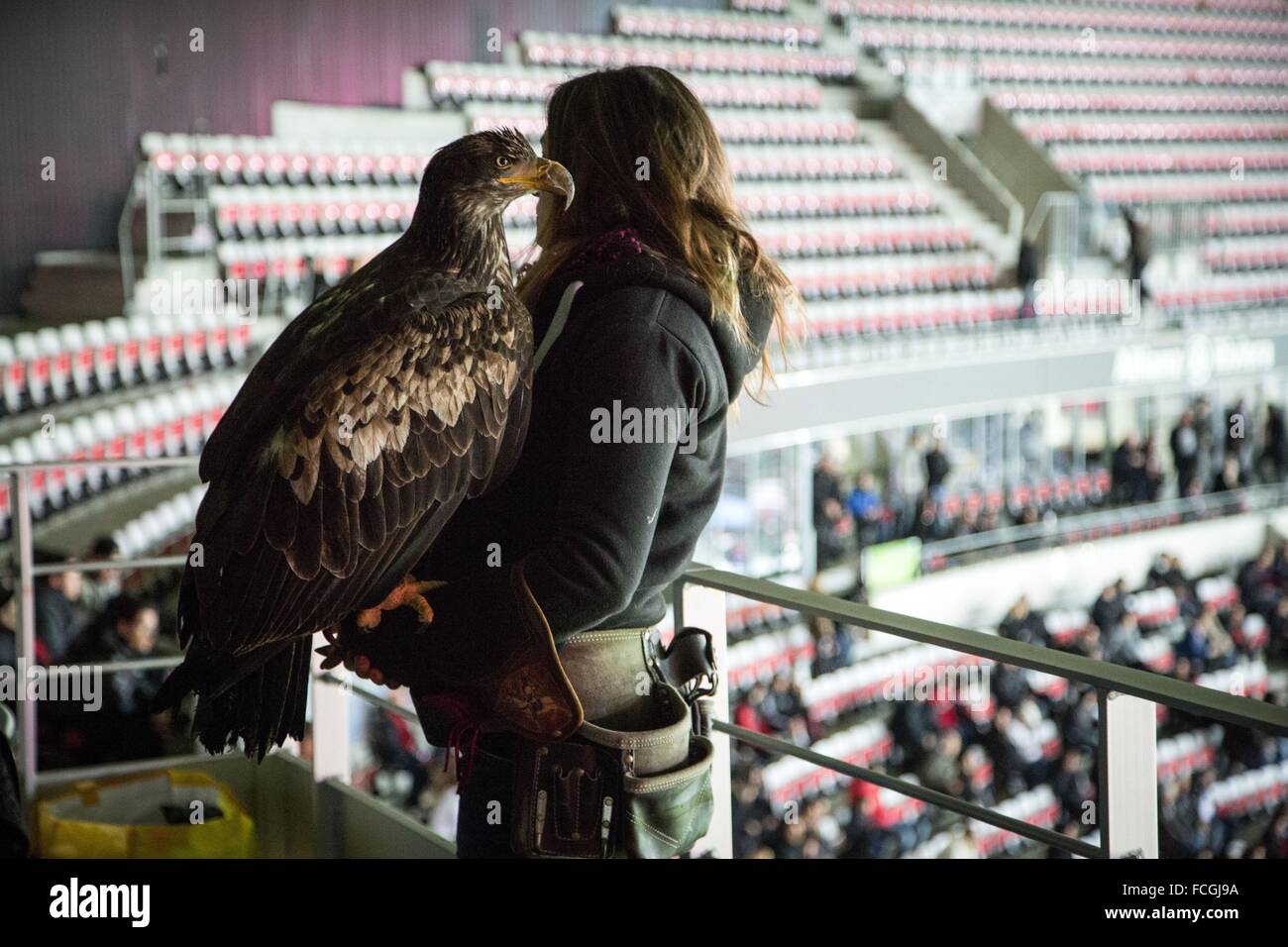 Le stade Allianz RIVIERA, NICE, (06), ALPES-MARITIMES, PACA, France Banque D'Images